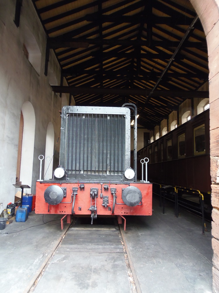 P4292520.JPG