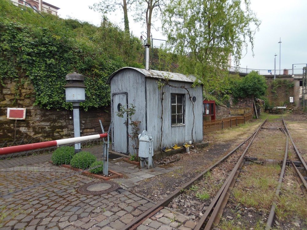 P4292596.JPG