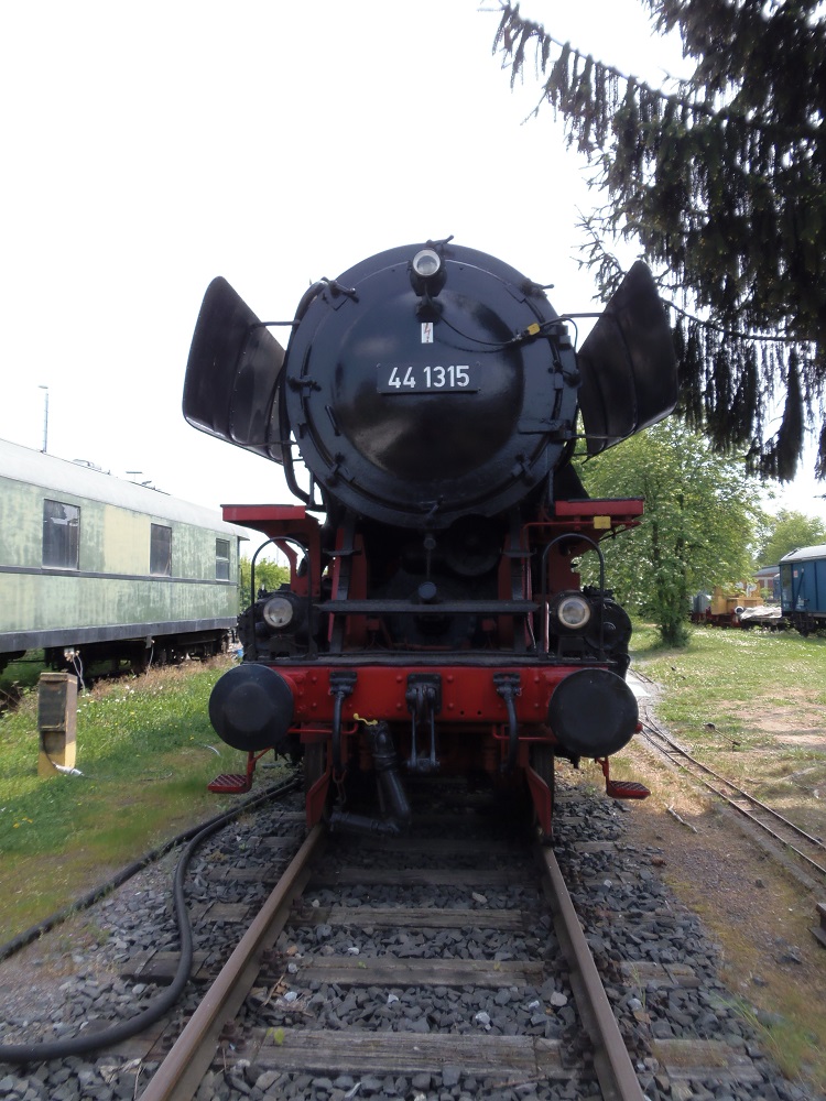 P4261669.JPG
