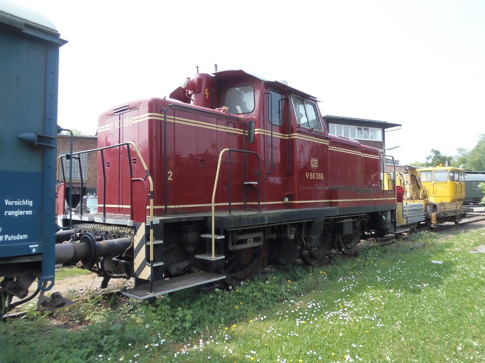P4261678.JPG