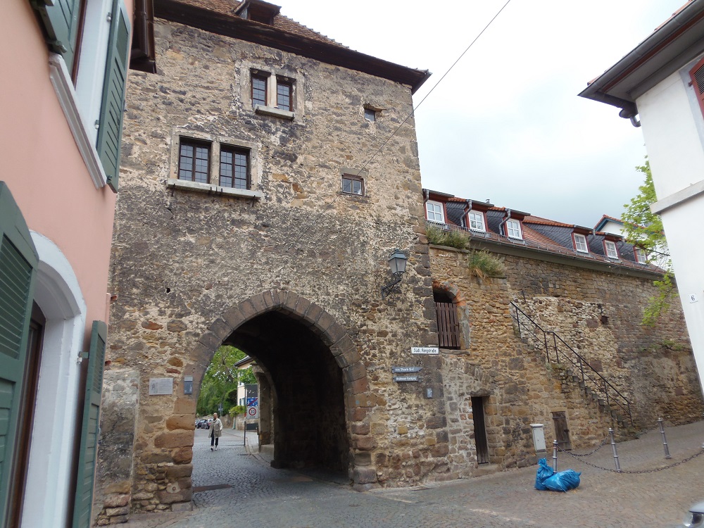 P4272063.JPG
