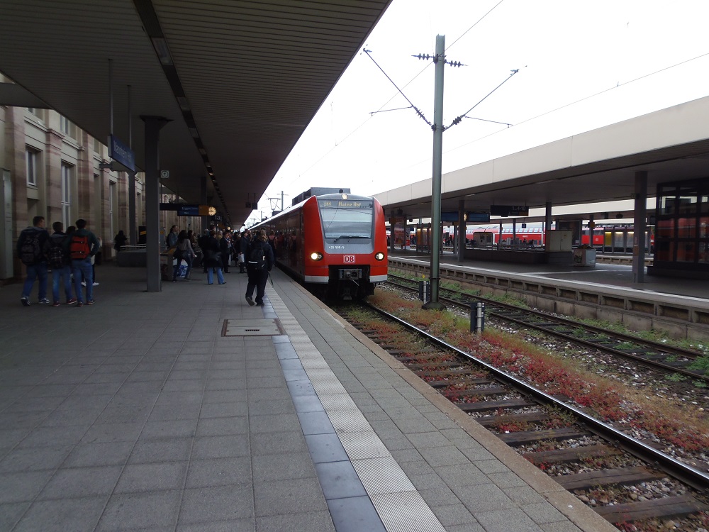 P4282384.JPG