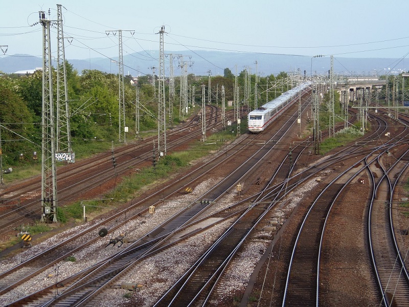 P4272300.JPG