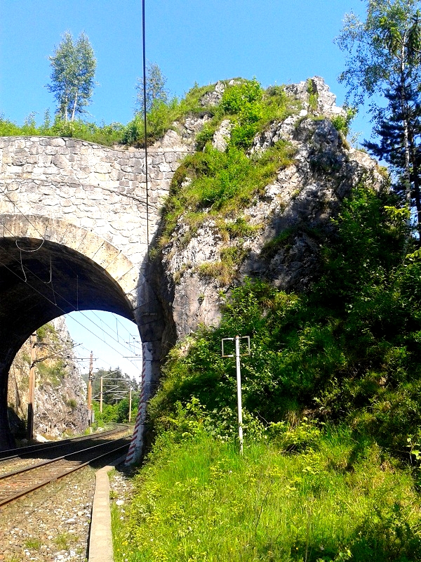 2014060849.jpg