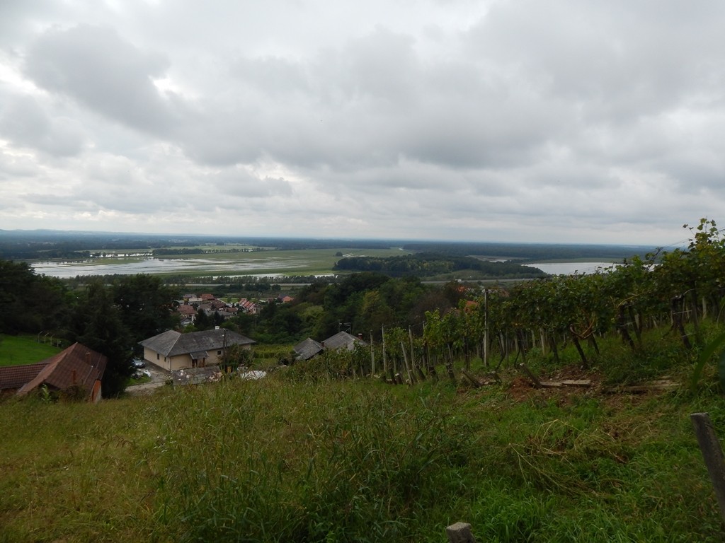 dscn0967.jpg