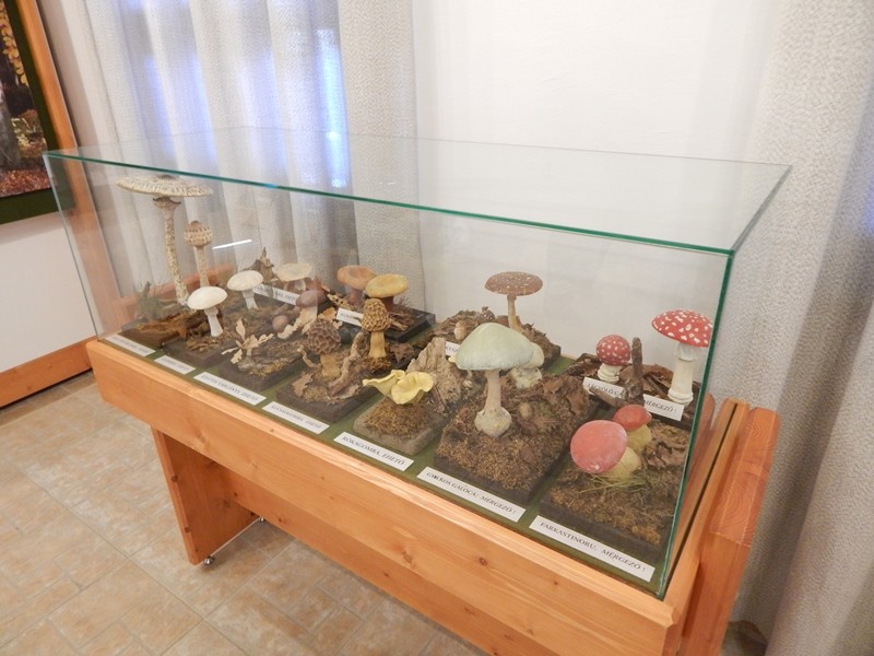 s4dscn0907.jpg
