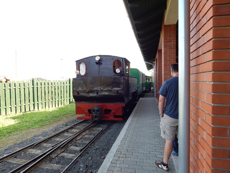 s8dscn0941.jpg