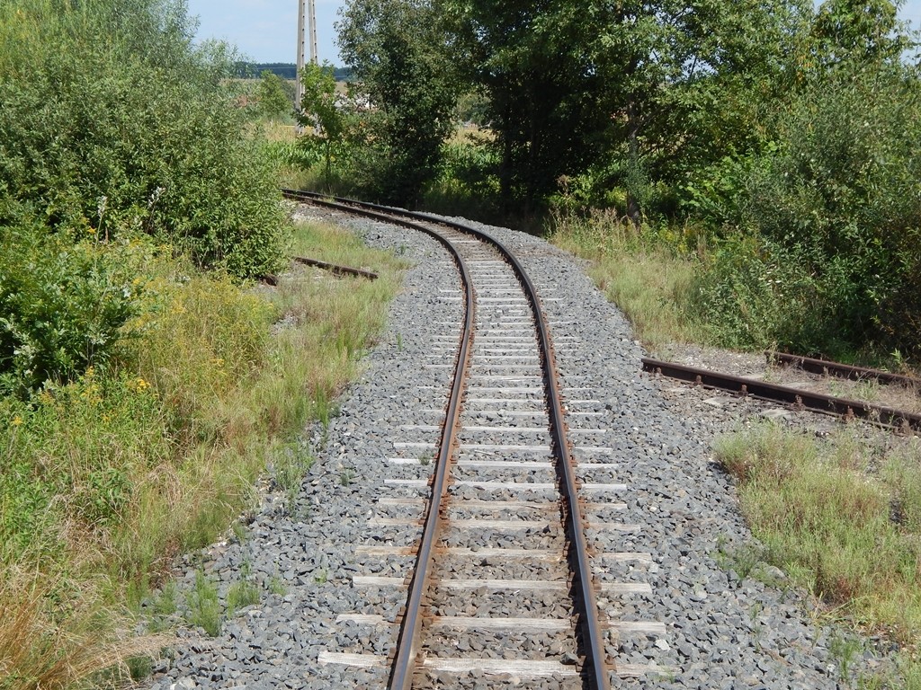1dscn9950.jpg