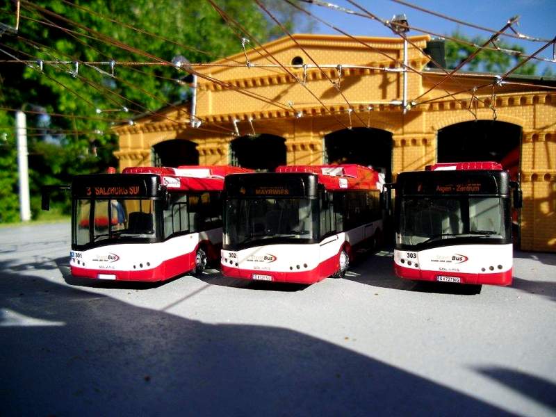CIMG0960.JPG