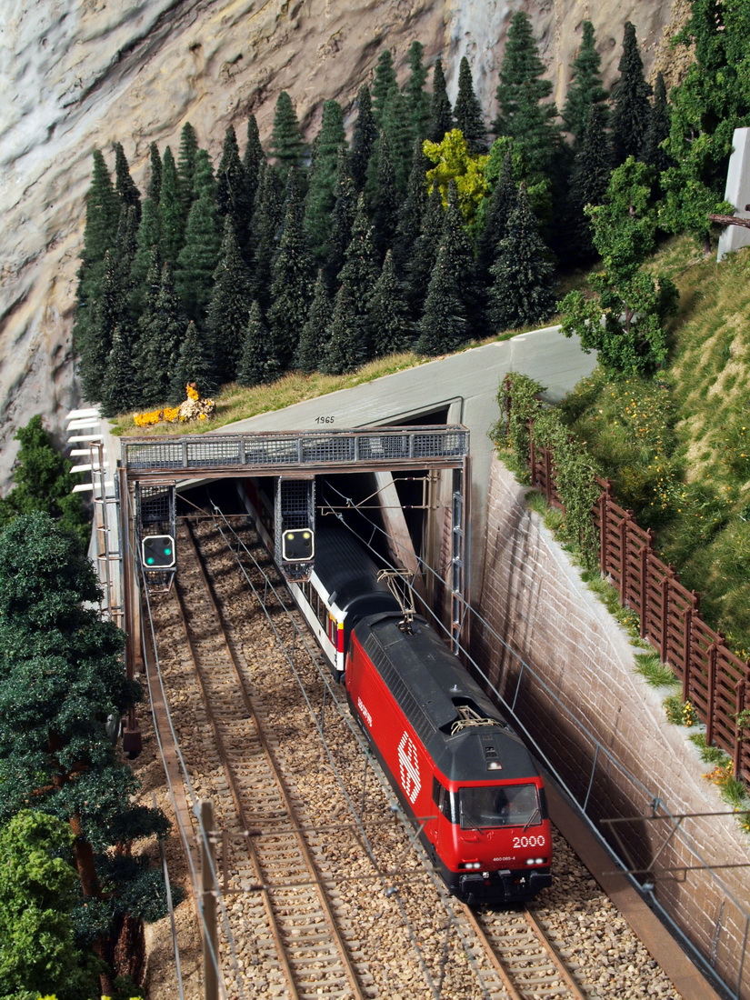 bls signal_05.JPG