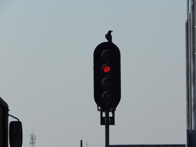 DSCN4137.JPG