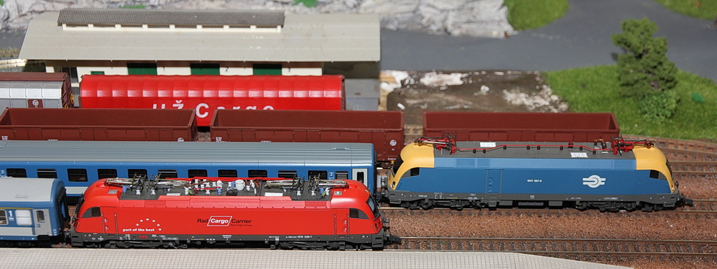 zz modeli 150319 dstanicic - 0035_resize.jpg