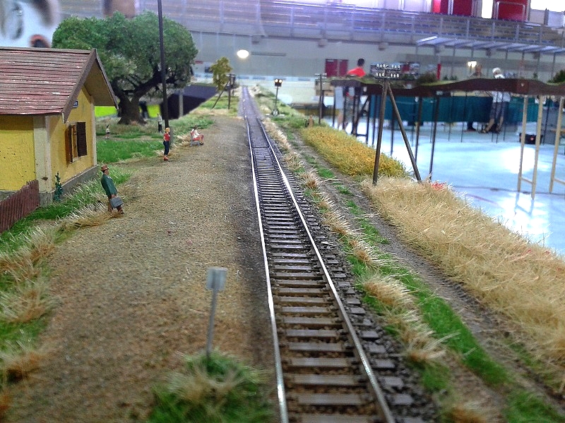 20150606_102743.jpg
