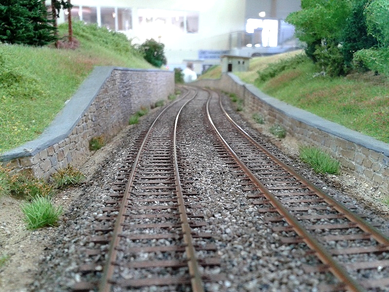 20150606_111553.jpg