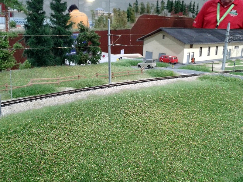20150606_135801.jpg