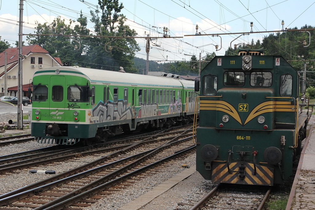 zz rakek 150530 dstanicic - 0234_resize.jpg