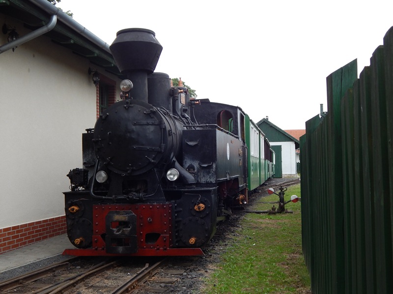 DSCN6404.JPG