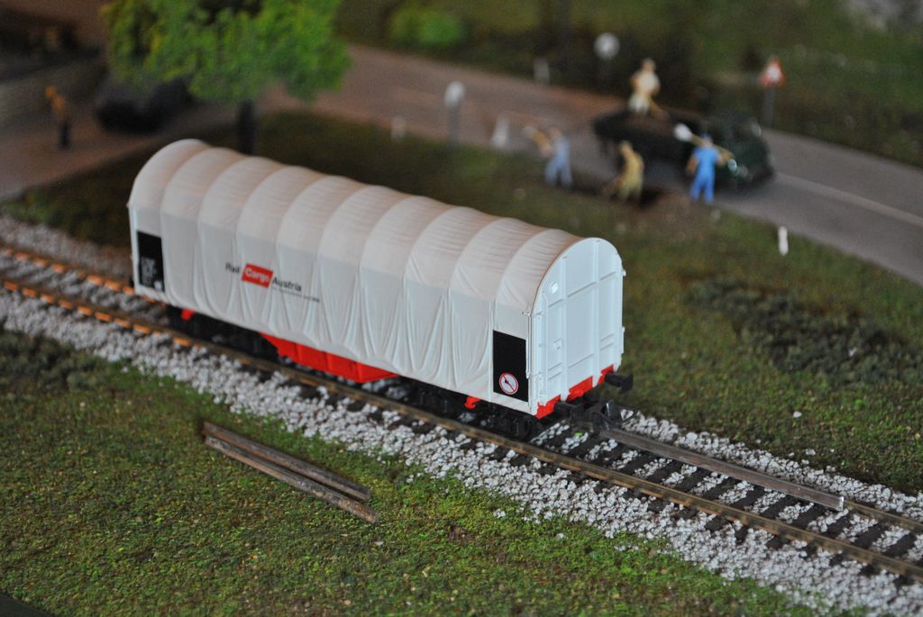 DSC_3626.JPG