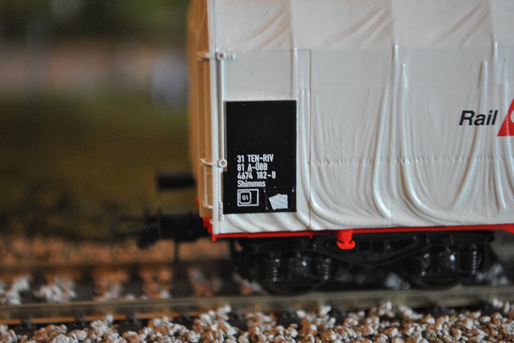 DSC_3623.JPG