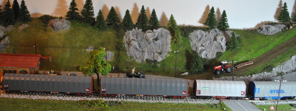 DSC_3236.JPG