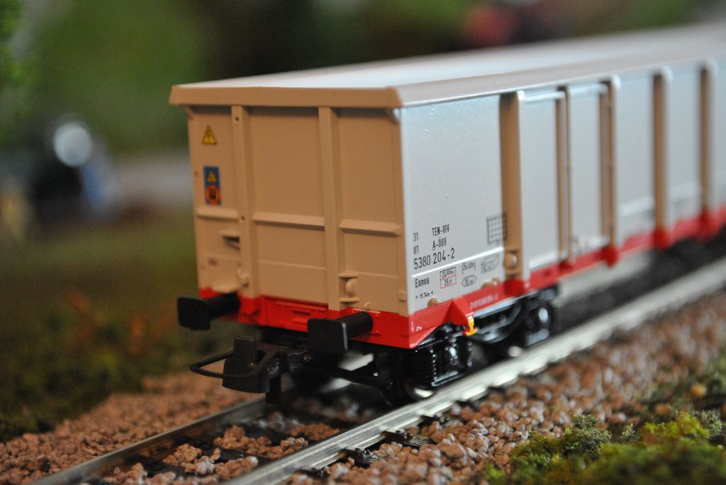 DSC_3361.JPG