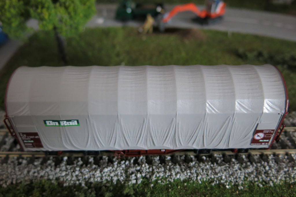 Roco Shimmns DB On Rail 3.jpg