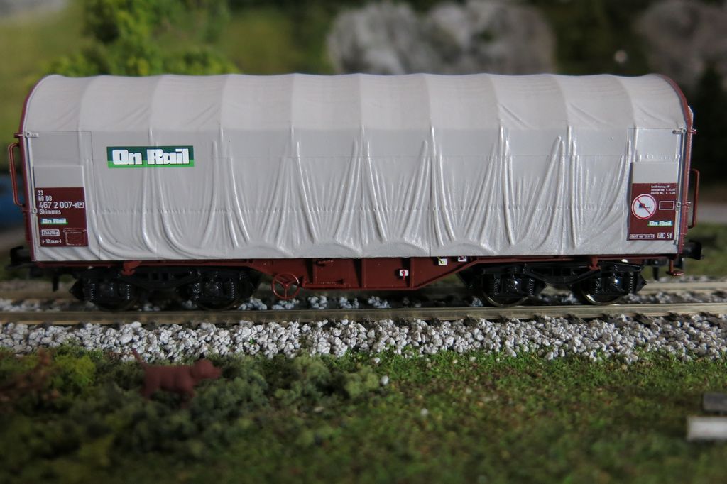 Roco Shimmns DB On Rail 1.jpg
