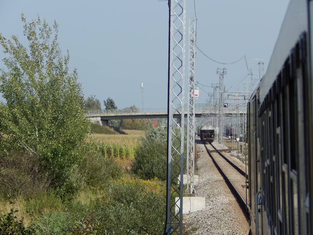 DSCN8649.JPG