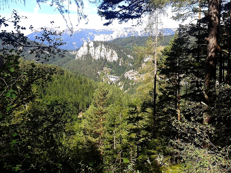 20150828_111301.jpg