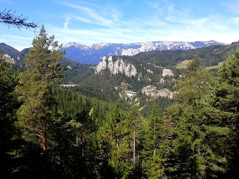 20150828_111444.jpg