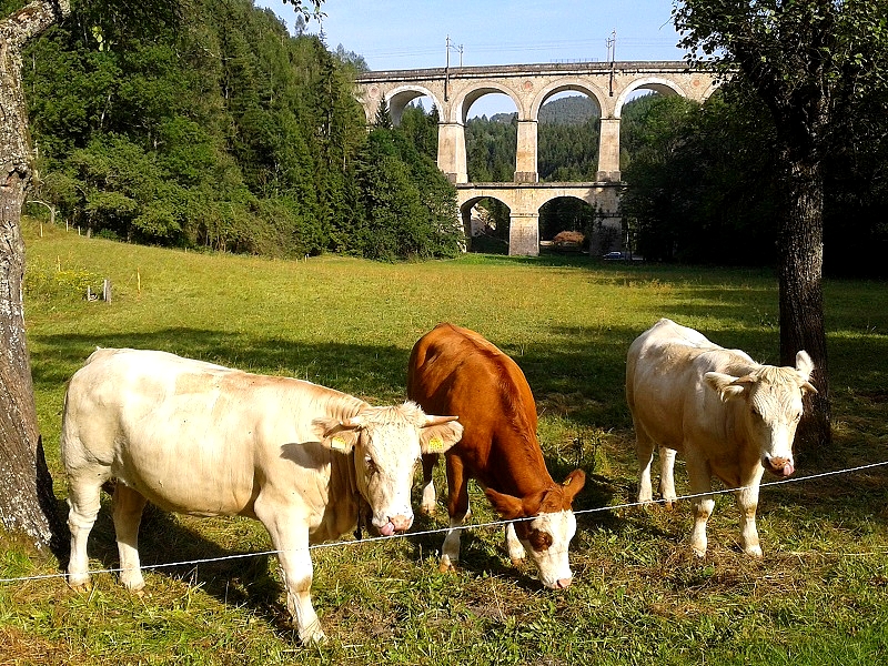 20150828_162426.jpg