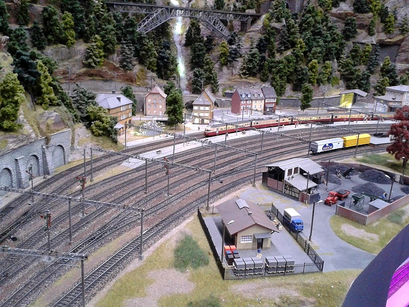 20151003_123043.jpg