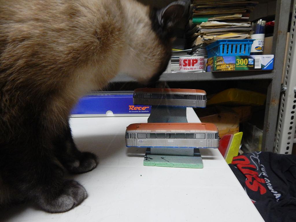 DSCN2478.JPG