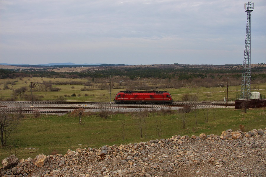 IMG_2509.JPG