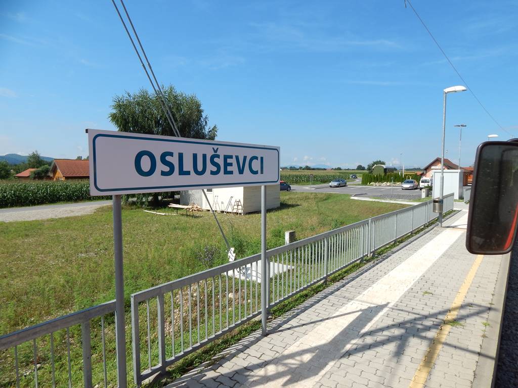 DSCN5519.JPG