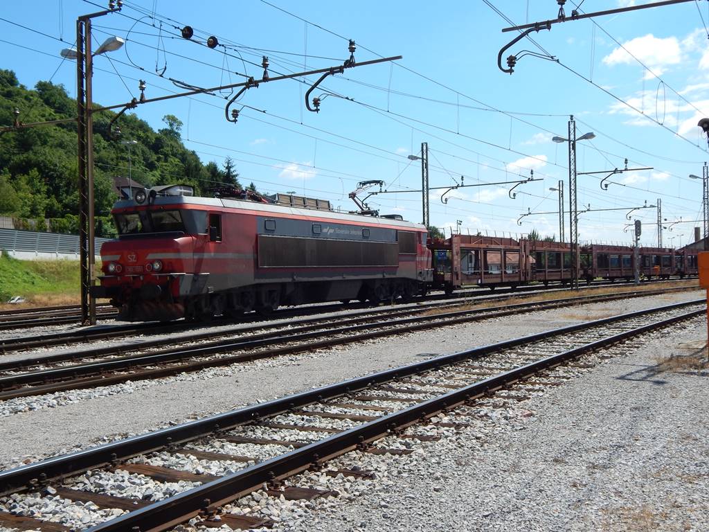 DSCN5561.JPG