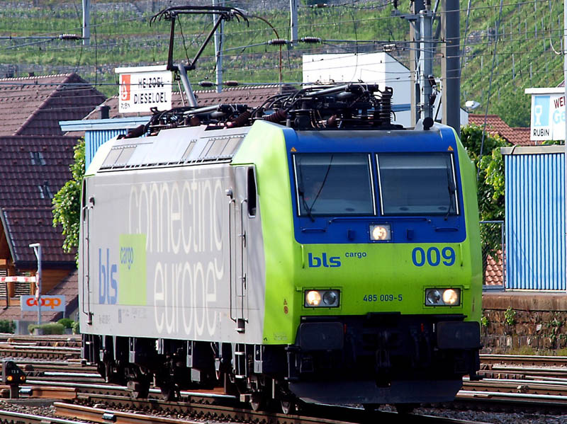 22.05.09.Spitz.jpg