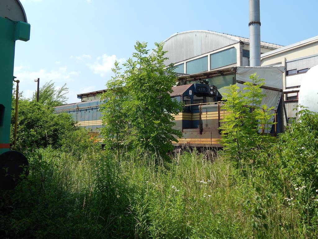 DSCN0228.JPG