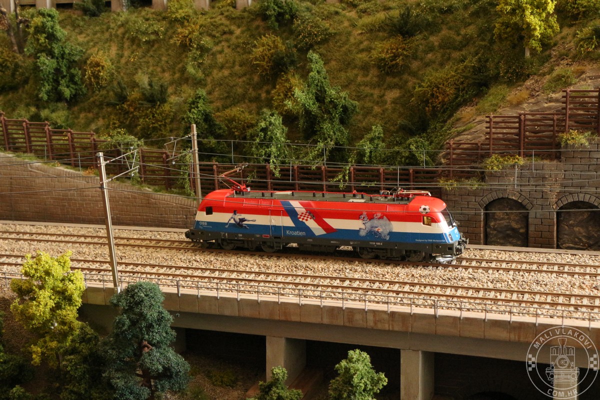 IMG_8136.jpg
