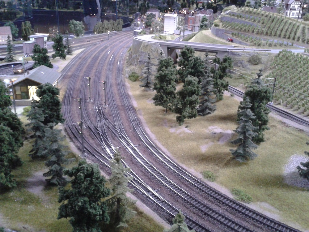 20151003_131408.jpg