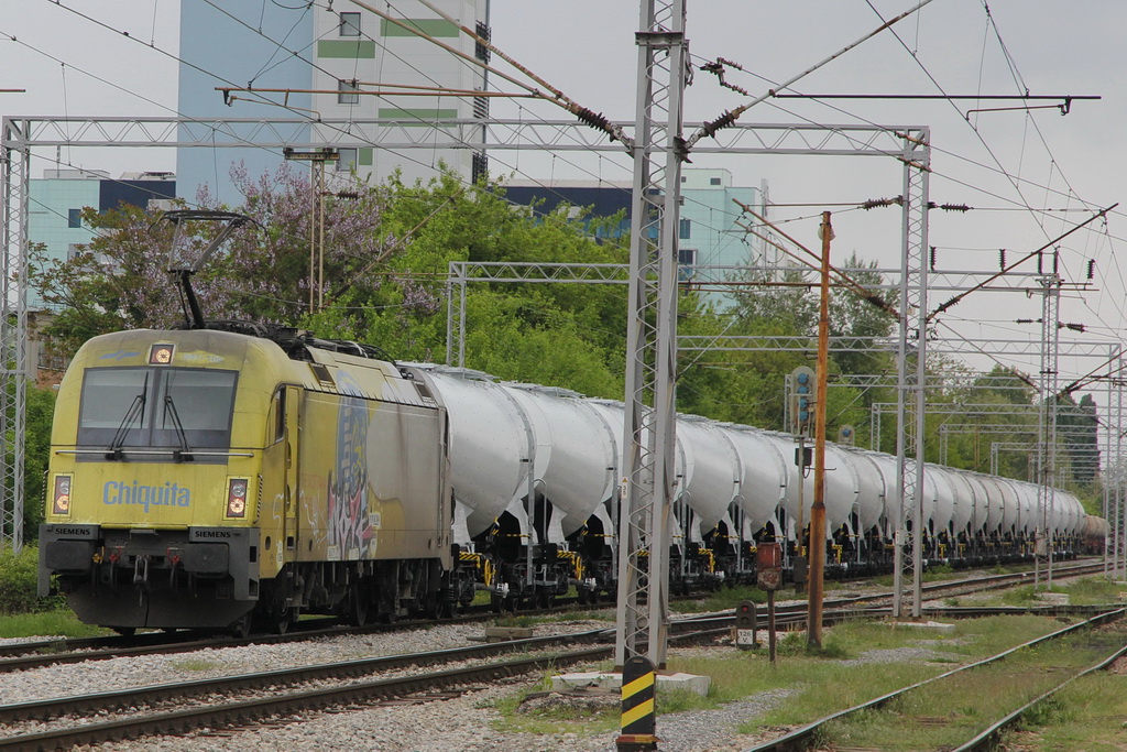 zz crnomerec 170419 dstanicic - 0005_resize.JPG
