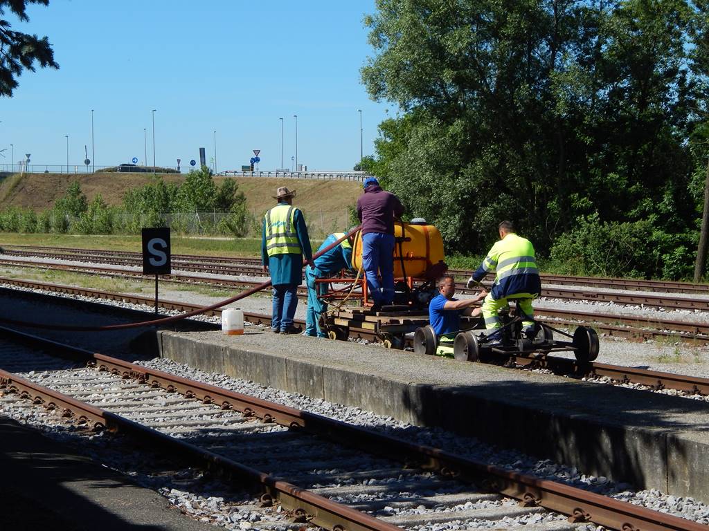 DSCN3065.JPG