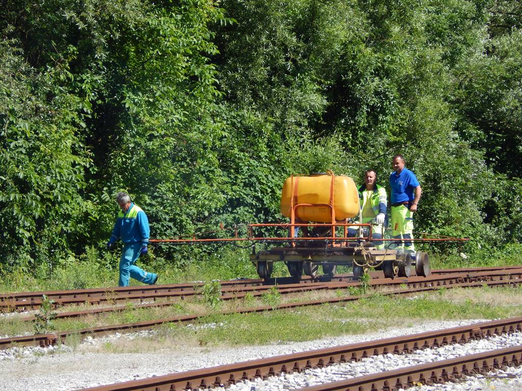 DSCN3071.JPG