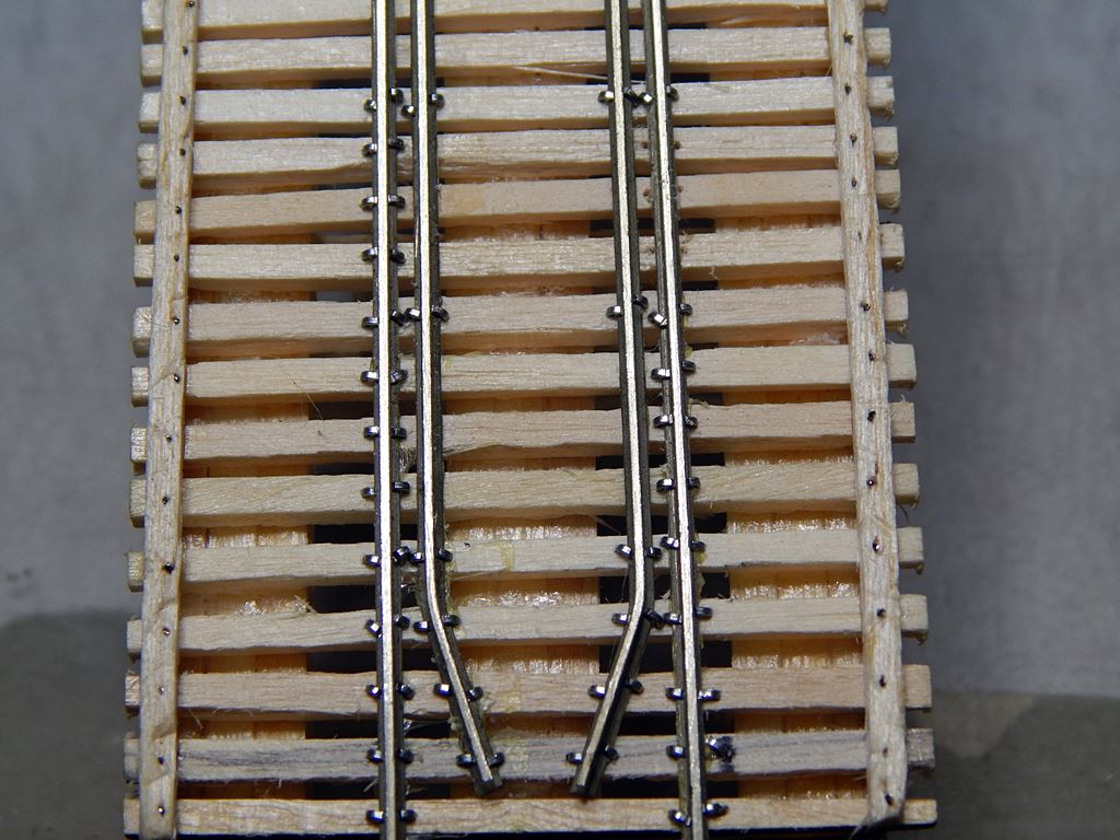 DSCN1545.JPG