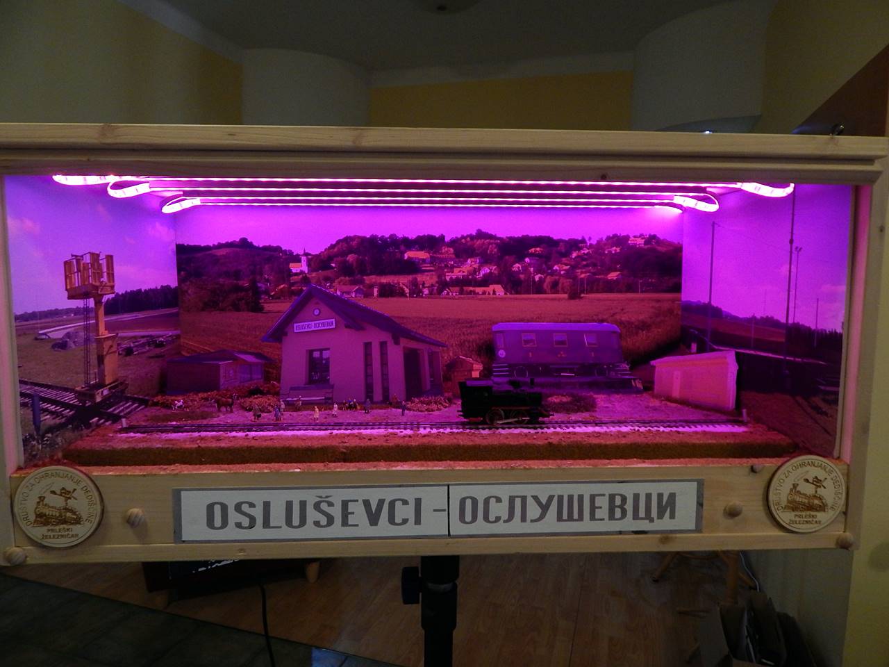 DSCN2884.JPG