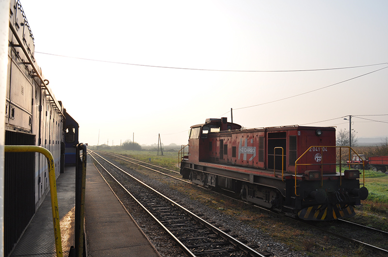 DSC_0014a.jpg