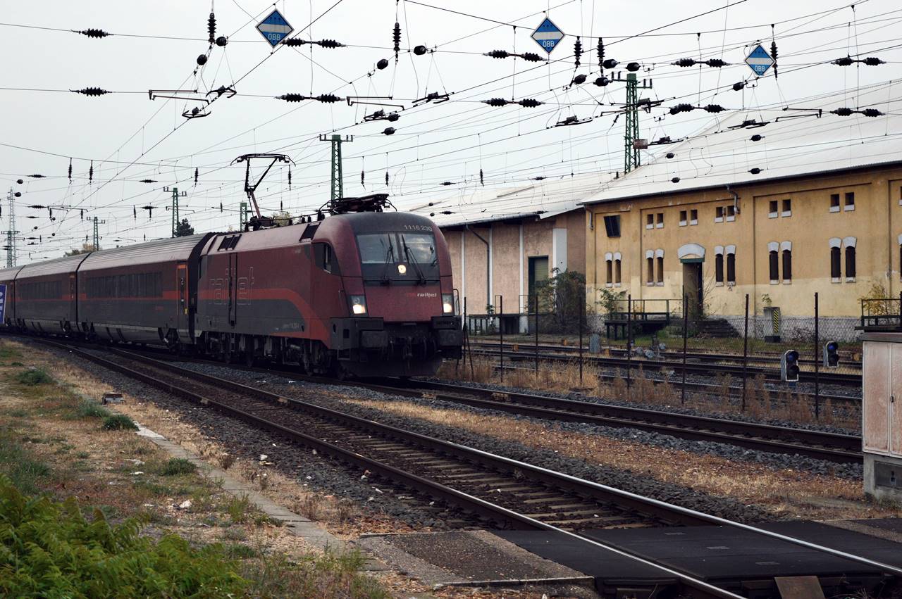 DSC_8313.JPG