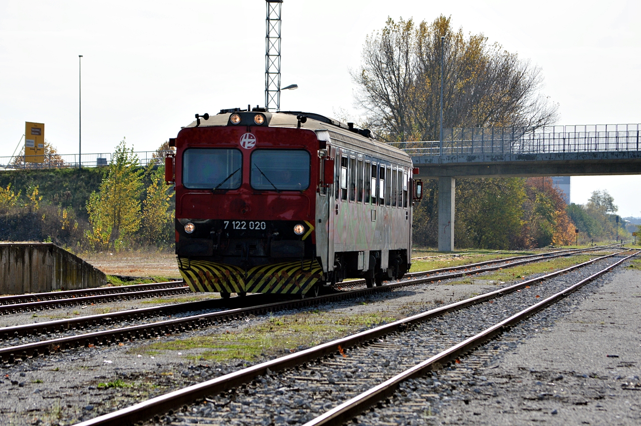 DSC_8764.JPG