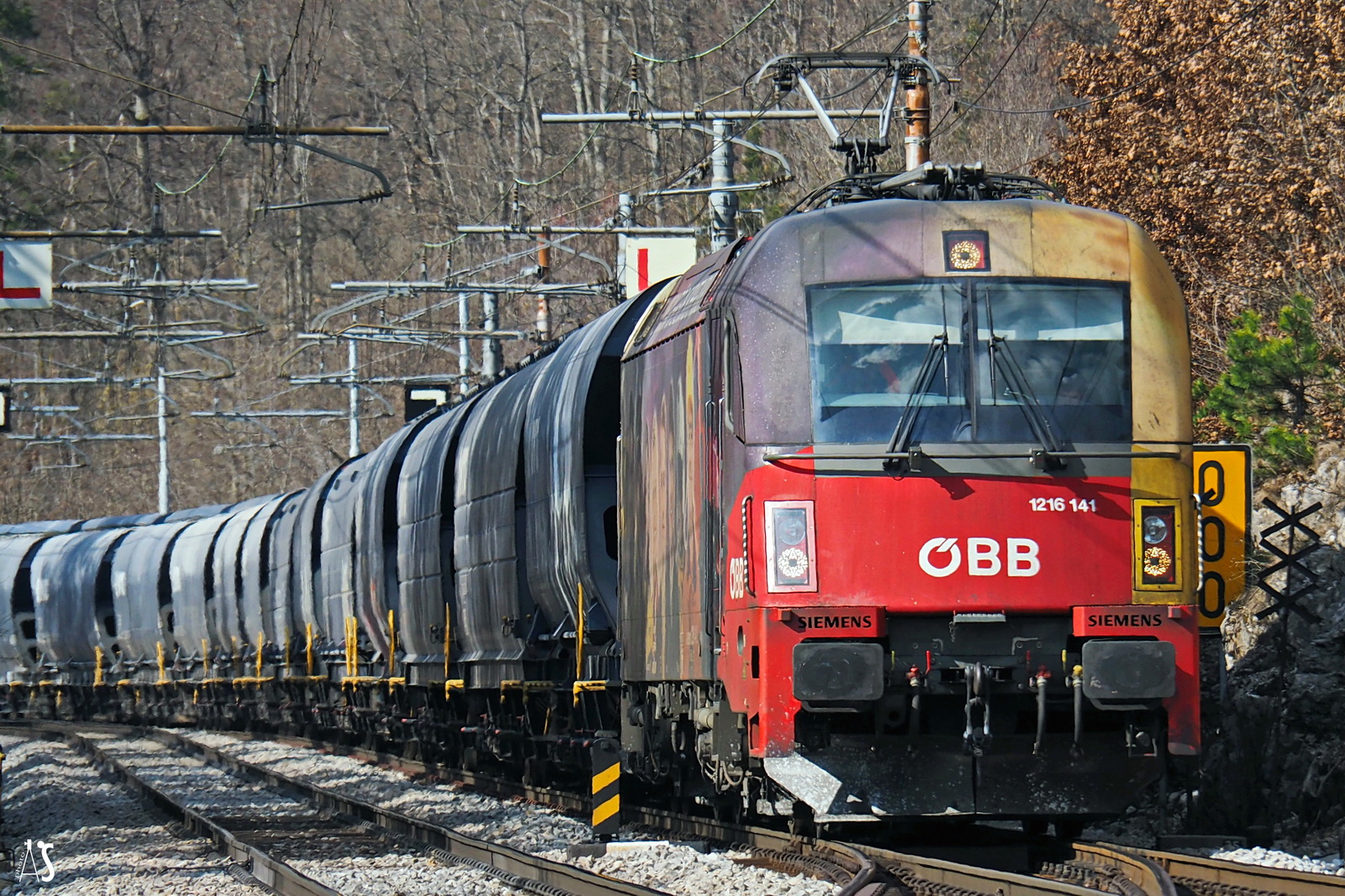 RCCSlo 1216 141,Pivka,02.03.19A.jpg