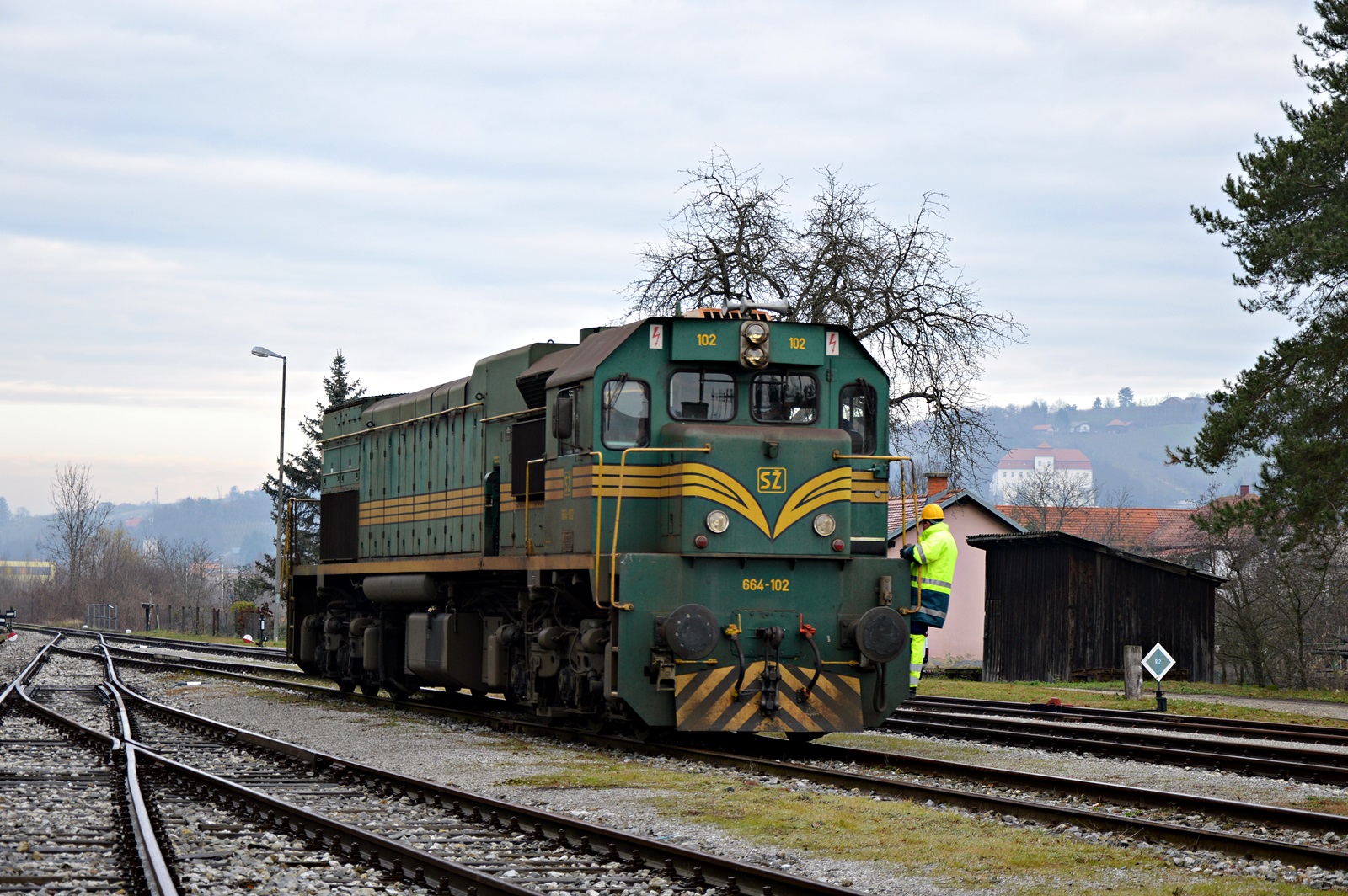 DSC_9876.JPG